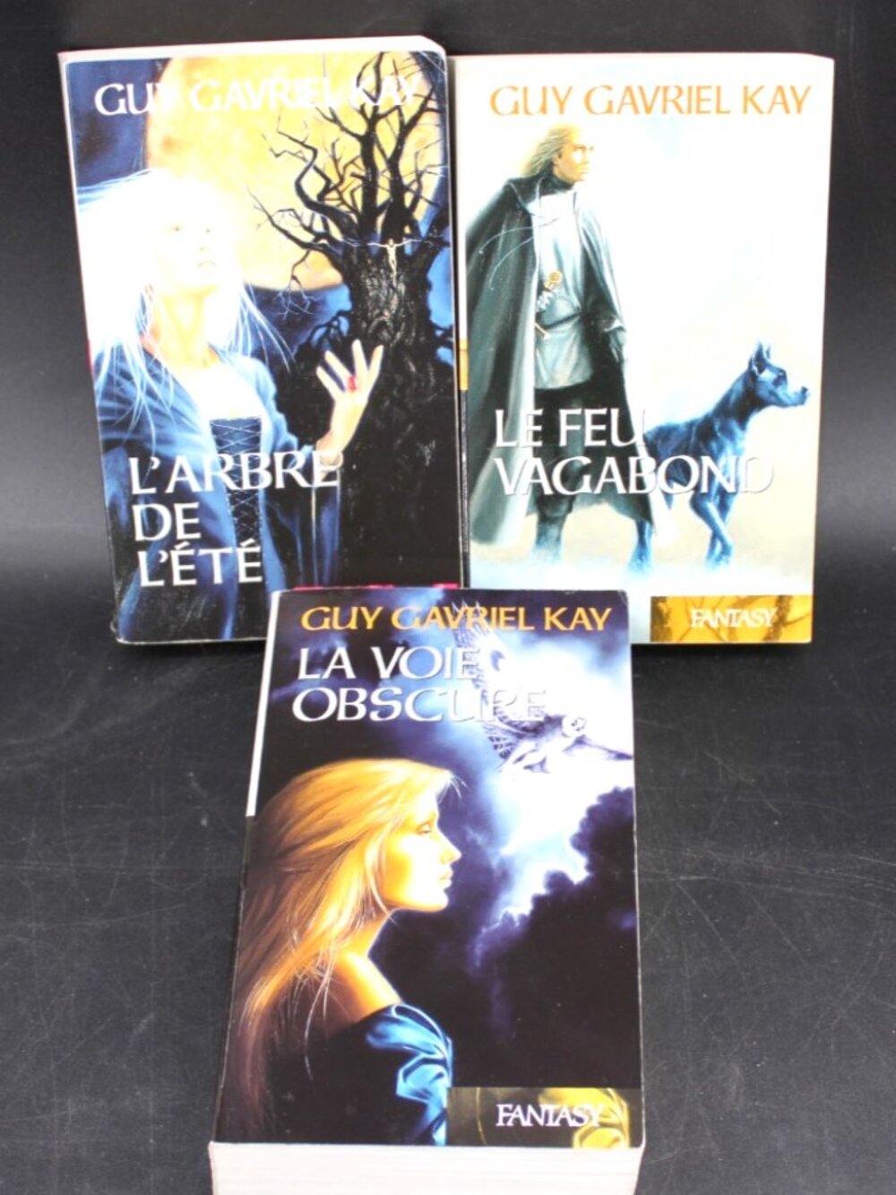 Lot 3 Livres Guy Gavriel Kay - La Tapisserie de Fionavar tome 1 a 3 French